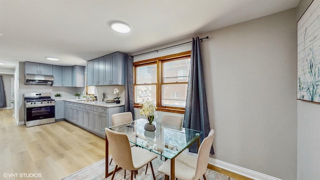 2701 S Hillock Ave, Chicago, IL 60608 - dining space with plenty of natural light and light wood-style flooring