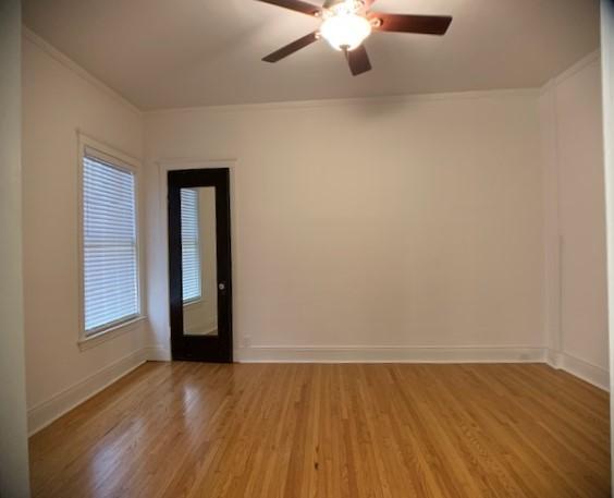 415 W Surf St, Chicago, IL 60657 - photo 50