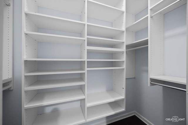 3312 W Beach Ave Unit 1, Chicago, IL 60651 - view of spacious closet