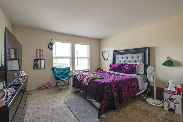 39837 N Torry Ln, Beach Park, IL 60083 - view of carpeted bedroom