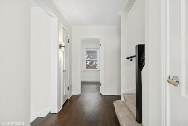 847 Marion Ave, Highland Park, IL 60035 - photo 4