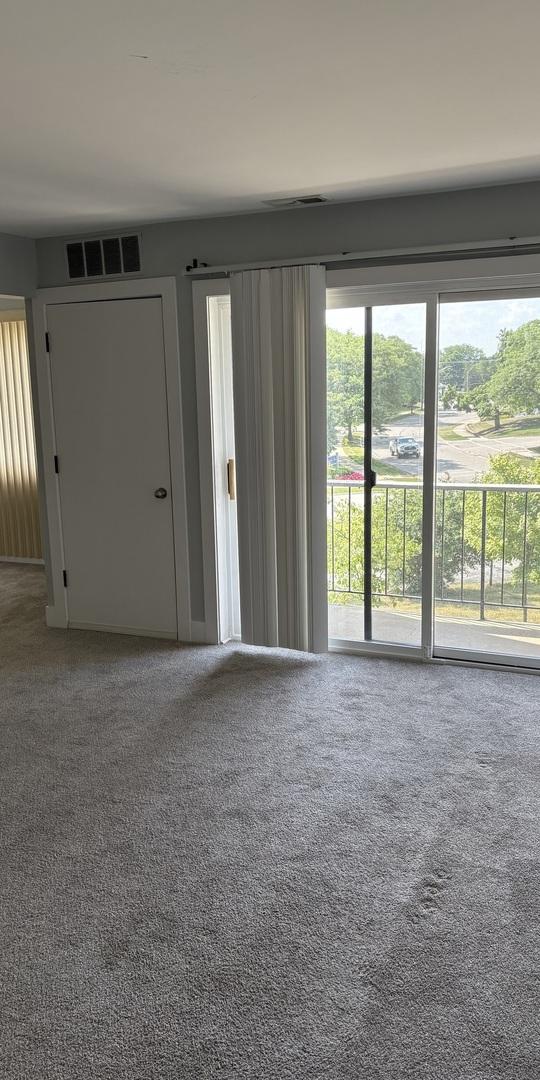 14949 Lakeview Dr Unit 204, Orland Park, IL 60462 - view of carpeted spare room