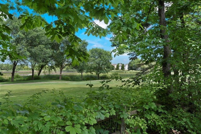 7488 Bittersweet Dr, Gurnee, IL 60031 - view of local wilderness