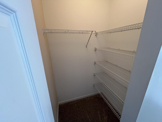 9425 Harrison St Unit 5-714, Des Plaines, IL 60016 - walk in closet featuring carpet floors