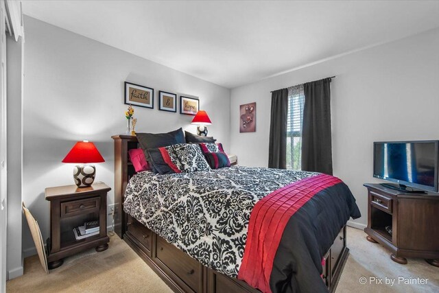 1318 Villa Dr, Hampshire, IL 60140 - photo 24