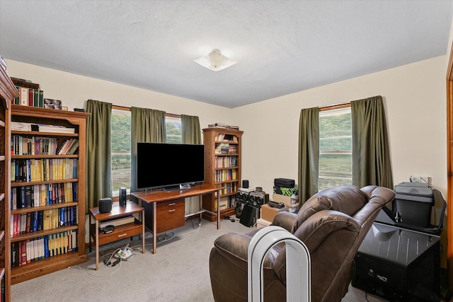 1507 Grandview Dr, Champaign, IL 61820 - photo 19