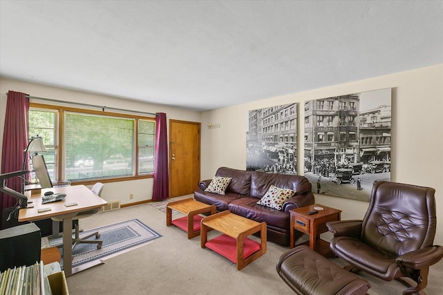 1507 Grandview Dr, Champaign, IL 61820 - photo 30