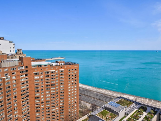 1310 N Ritchie Ct Unit 27C, Chicago, IL 60610 - photo 26