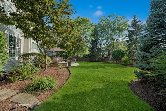 424 Bluegrass Ln, Geneva, IL 60134 - view of yard featuring a patio
