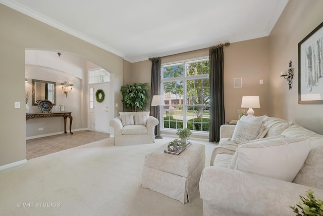 424 Bluegrass Ln, Geneva, IL 60134 - carpeted living area featuring crown molding and arched walkways