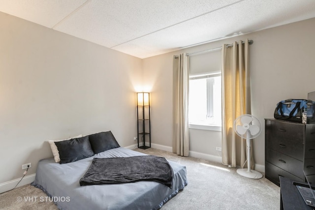 59 S Hale St Unit 203, Palatine, IL 60067 - bedroom with carpet floors and a textured ceiling