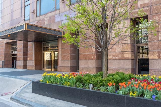 161 E Chicago Ave Unit 27C, Chicago, IL 60611 - view of building exterior