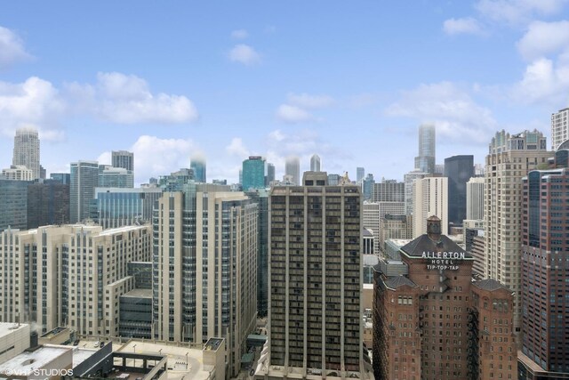 161 E Chicago Ave Unit 27C, Chicago, IL 60611 - skyline view