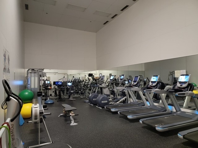161 E Chicago Ave Unit 27C, Chicago, IL 60611 - workout area featuring a high ceiling