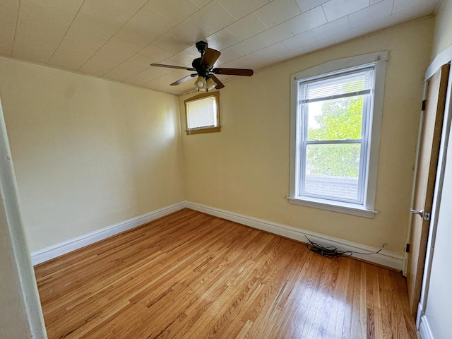 1900 Harvey Ave, Berwyn, IL 60402 - photo 8
