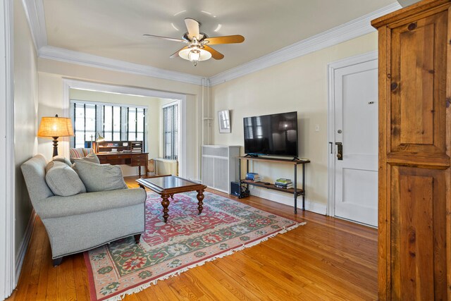 410 N State St Unit 4, Champaign, IL 61820 - photo 10