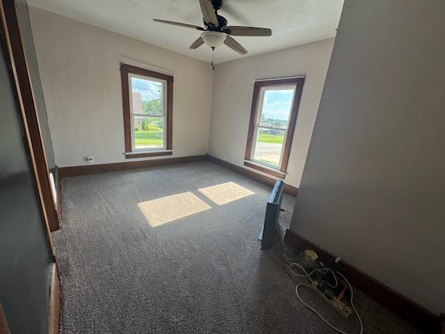 320 W 8th St, Milledgeville, IL 61051 - photo 11