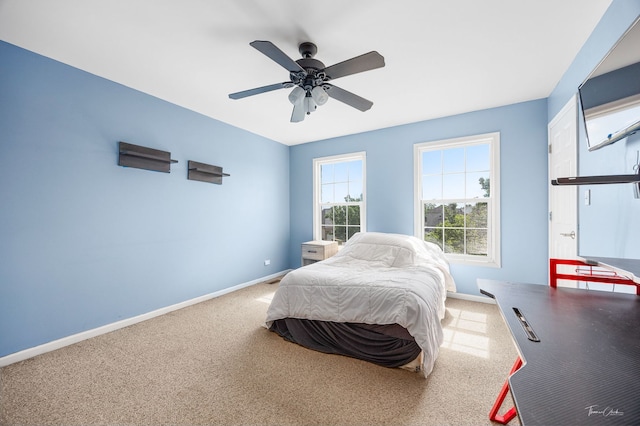 23660 Dayfield Ct, Plainfield, IL 60586 - photo 31