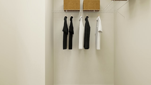 572 Waterford Rd, Elgin, IL 60124 - view of walk in closet