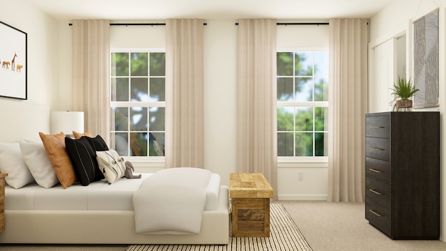 572 Waterford Rd, Elgin, IL 60124 - bedroom featuring multiple windows and light colored carpet