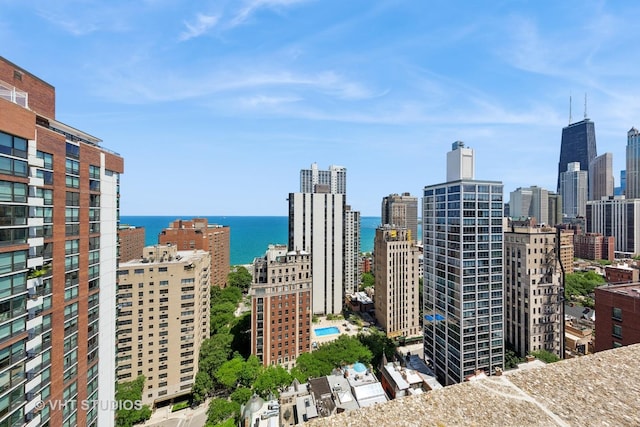 1325 N State Pkwy Unit 6D, Chicago, IL 60610 - view of city skyline with a large body of water