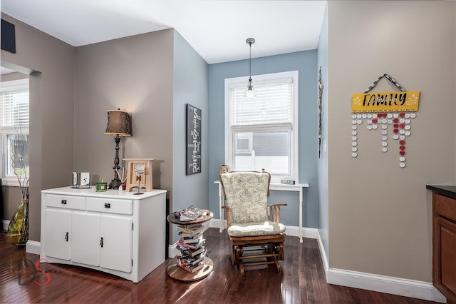 1315 W Jackson St, Ottawa, IL 61350 - sitting room featuring dark wood-type flooring and plenty of natural light
