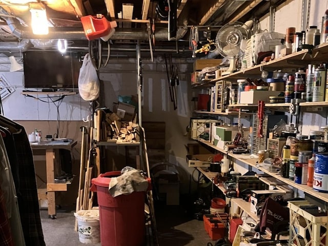 1669 Saint Ann Dr, Hanover Park, IL 60133 - view of storage area