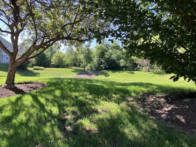 1669 Saint Ann Dr, Hanover Park, IL 60133 - view of grassy yard