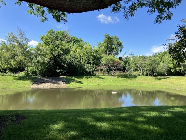 1669 Saint Ann Dr, Hanover Park, IL 60133 - water view