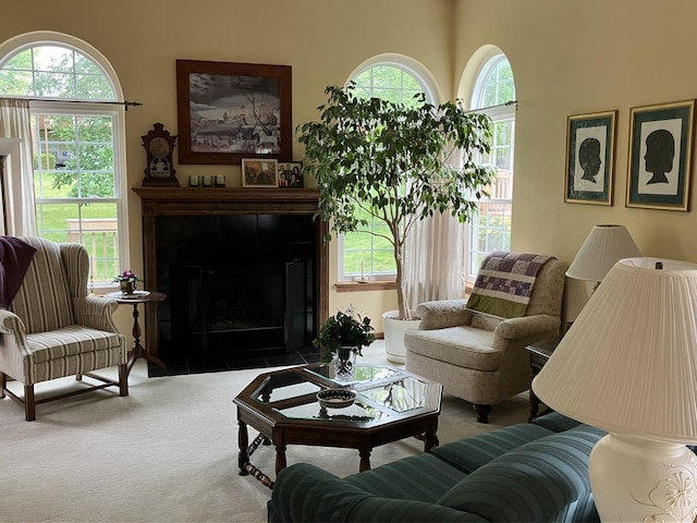 1669 Saint Ann Dr, Hanover Park, IL 60133 - living room featuring carpet floors and a fireplace with flush hearth