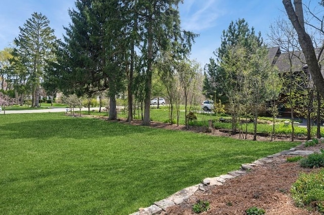 32 Valley Rd, Highland Park, IL 60035 - view of green lawn