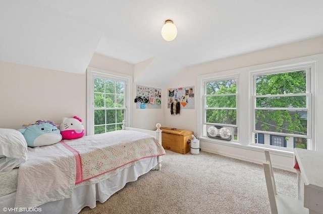 32 Valley Rd, Highland Park, IL 60035 - bedroom with carpet and lofted ceiling