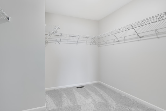 1039 Greenleaf St, Sycamore, IL 60178 - walk in closet featuring carpet