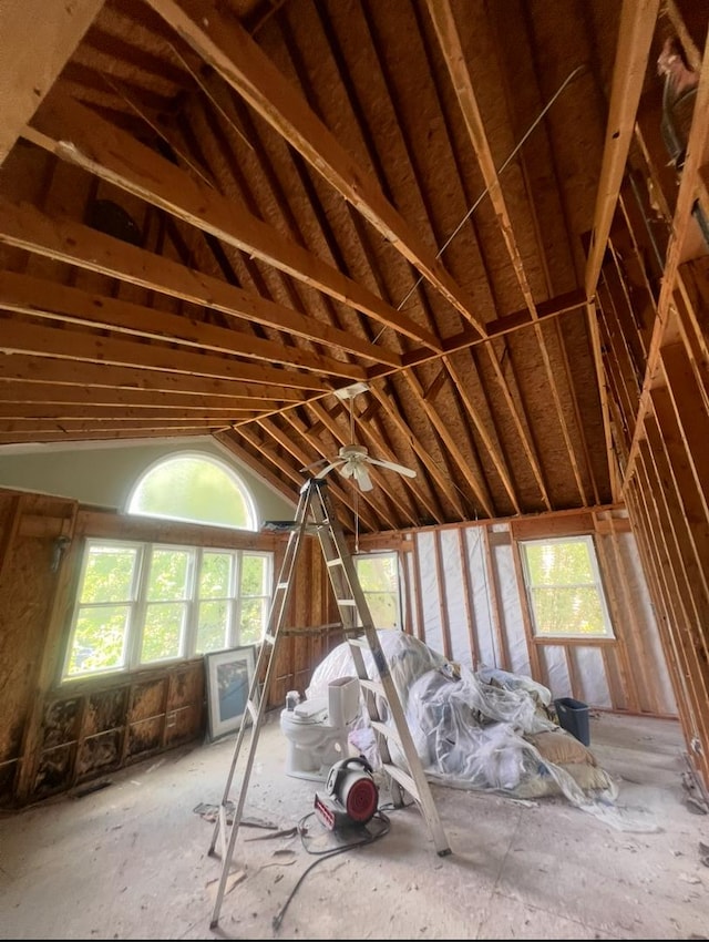 223 Darien Ln, Sleepy Hollow, IL 60118 - unfinished attic with healthy amount of natural light