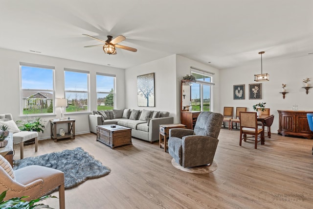 1664 Windsor Rd, Pingree Grove, IL 60140 - living room featuring ceiling fan and light wood-type flooring