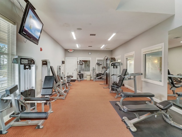 1664 Windsor Rd, Pingree Grove, IL 60140 - workout area with carpet flooring and baseboards