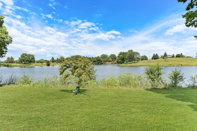 80 Commonwealth Ct Unit 2, Vernon Hills, IL 60061 - photo 24