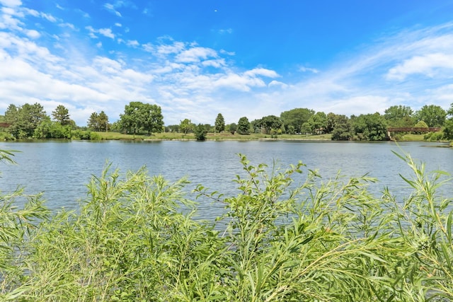 80 Commonwealth Ct Unit 2, Vernon Hills, IL 60061 - photo 25