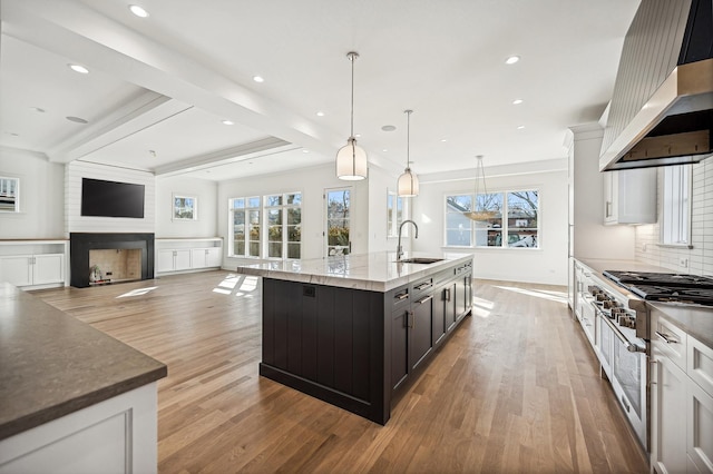1206 Isabella St, Wilmette, IL 60091 - kitchen with premium range hood, light wood-style floors, recessed lighting, backsplash, and a center island with sink