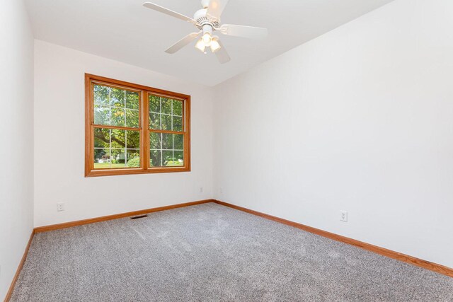 313 W Burlington Dr, Maple Park, IL 60151 - empty room with carpet and a ceiling fan