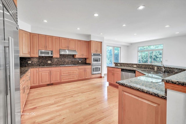 3550 E Ari Dr, Glenview, IL 60025 - kitchen featuring appliances with stainless steel finishes, light wood finished floors, under cabinet range hood, backsplash, and recessed lighting