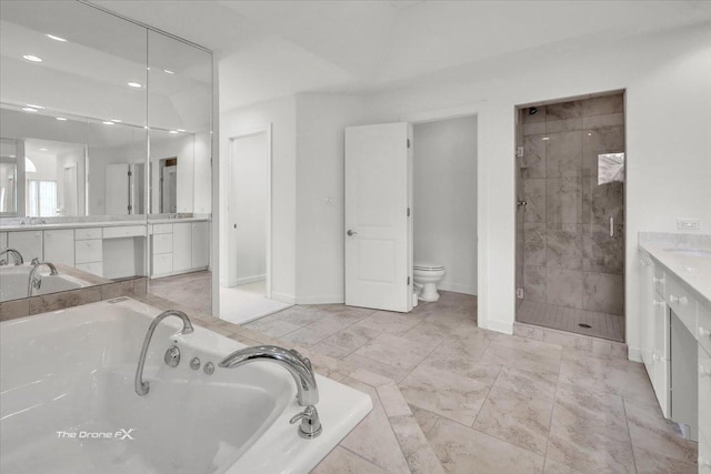 3550 E Ari Dr, Glenview, IL 60025 - bathroom featuring vanity, a bath, a shower stall, and recessed lighting