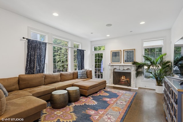1000 S Madison Ave, La Grange, IL 60525 - living room with wood finished floors, healthy amount of natural light, recessed lighting, and a fireplace with flush hearth