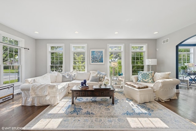 1000 S Madison Ave, La Grange, IL 60525 - living room with arched walkways, healthy amount of natural light, wood finished floors, and recessed lighting