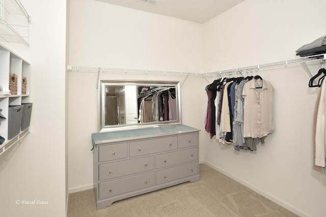 2351 Cannon Dr, Pingree Grove, IL 60140 - spacious closet with light colored carpet