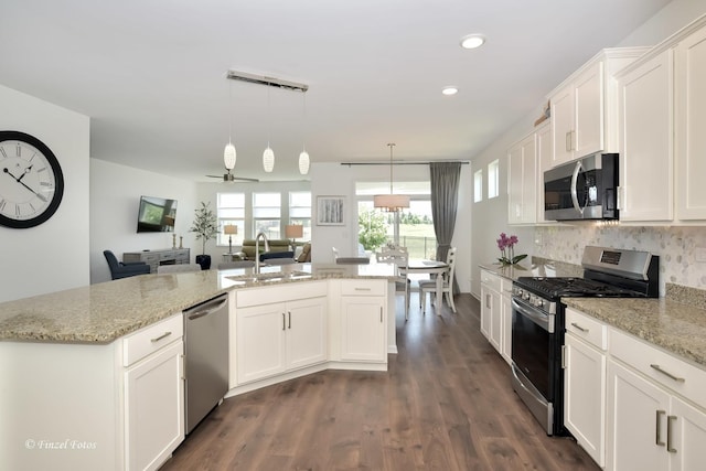 2351 Cannon Dr, Pingree Grove, IL 60140 - kitchen with appliances with stainless steel finishes, white cabinetry, dark wood-style floors, light stone countertops, and recessed lighting