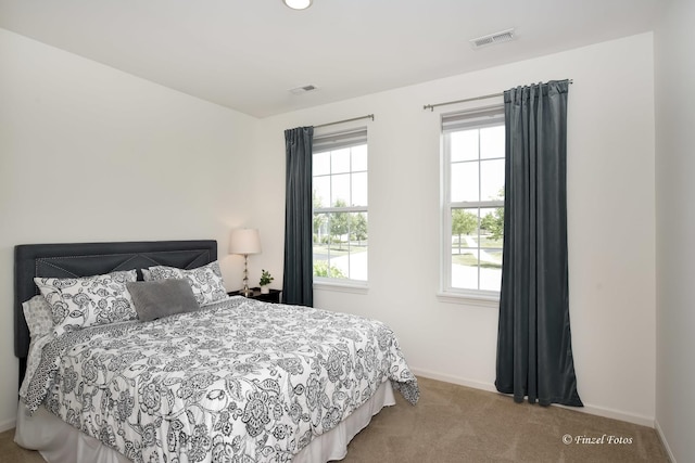 2351 Cannon Dr, Pingree Grove, IL 60140 - bedroom with multiple windows and carpet flooring