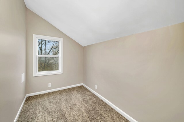 109 N Van Horn St, Braceville, IL 60407 - photo 20