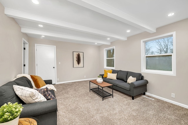 109 N Van Horn St, Braceville, IL 60407 - photo 4