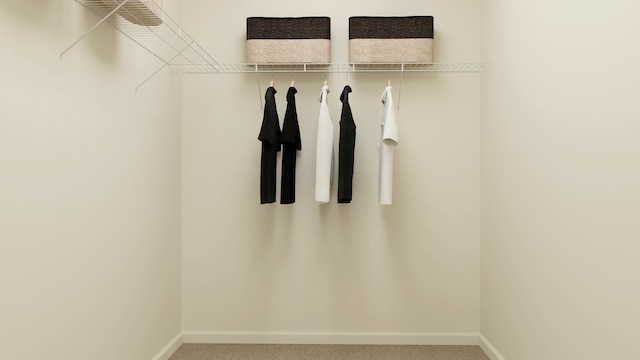 2909 Kelly Dr, Elgin, IL 60124 - spacious closet with carpet